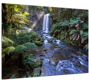 Tablou cu pădurea ploilor din Austalia (70x50 cm)