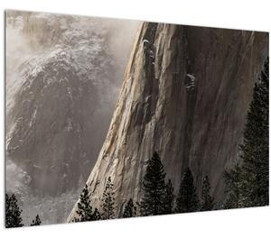Tablou din valea Yosemite parcul național, SUA (90x60 cm)