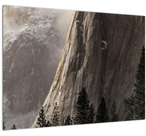 Tablou din valea Yosemite parcul național, SUA (70x50 cm)