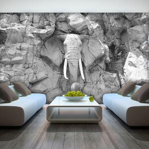 Fototapet - Elefant sculptat în piatră - gri (152,5x104 cm)