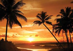 Fototapet - Palmieri în apus de soare (254x184 cm)