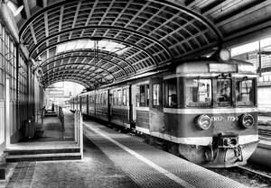 Fototapet - Trenul în gară (254x184 cm)
