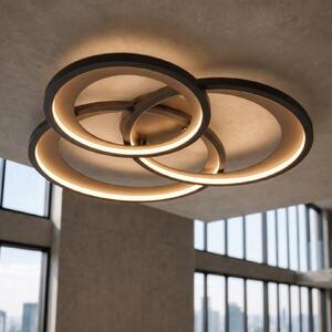 Trio Lighting Plafonieră LED Granada, negru mat/auriu, reglabil, Negru, Camera de zi / sufragerie, Metal, Modern