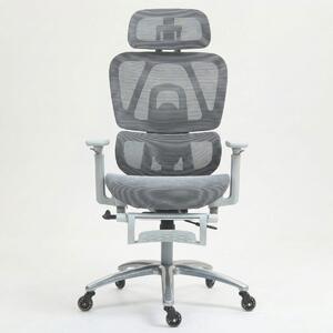 Scaun de birou ergonomic cu suport lombar dinamic, tetiera 3D si cotiere reglabile, mesh alb-gri