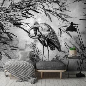 Fototapet - Macaraua alb -neagră (254x184 cm)