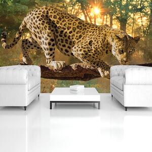 Fototapet - Jaguar Forest Woods (152,5x104 cm)