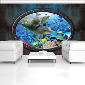 Fototapet - Delfin în aquariu (152,5x104 cm)