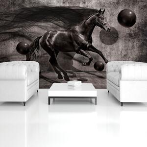 Fototapet - Calul negru (152,5x104 cm)