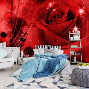 Fototapet - Trandafir roșu (152,5x104 cm)