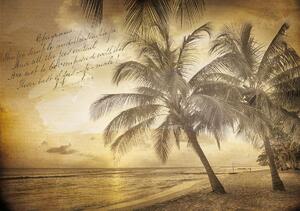 Fototapet - Vedere din țătile tropice (254x184 cm)