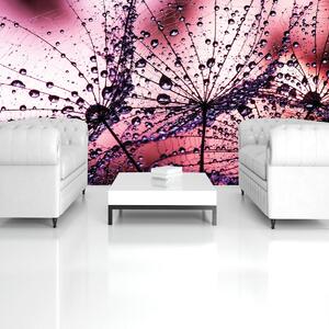 Fototapet - Păpădii - abstracte - violete (152,5x104 cm)
