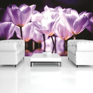 Fototapet - Flori - tonul violet (152,5x104 cm)