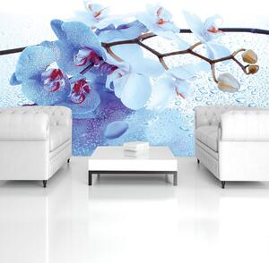 Fototapet - Arta florală - abstract (152,5x104 cm)