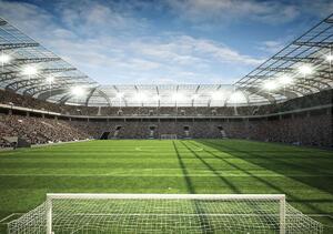 Fototapet - Stadion (152,5x104 cm)