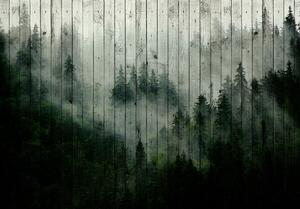 Fototapet - Ceața de pădure (152,5x104 cm)
