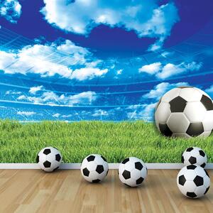 Fototapet - Fodbal pe iarbă (152,5x104 cm)