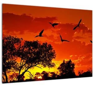 Tablou pe sticlă cu păsări în apus de soare (70x50 cm)