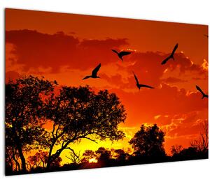 Tablou cu păsări în apus de soare (90x60 cm)