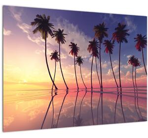 Tablou pe sticlă cu palmieri deasupra mării (70x50 cm)