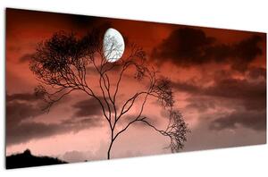 Tablou - Luna luminează noaptea (120x50 cm)