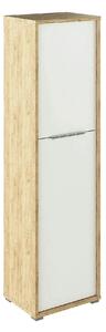 Dulap RIOMA TYP 08, stejar artisan/alb, DTD laminat, cu 2 usi, 50x38x1