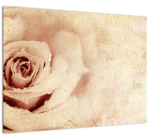 Tablou pe sticlă - floare de trandafir pentru îndrăgostiți (70x50 cm)