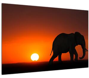 Tablou cu elefant în apus de soare (90x60 cm)