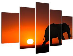 Tablou cu elefant în apus de soare (150x105 cm)