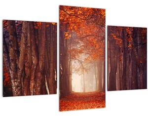 Tablou - Pădurea de toamnă (90x60 cm)