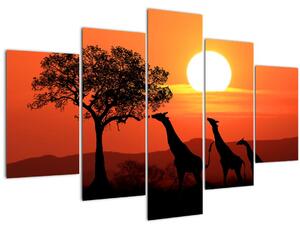 Tablou cu girafe în apus de soare (150x105 cm)