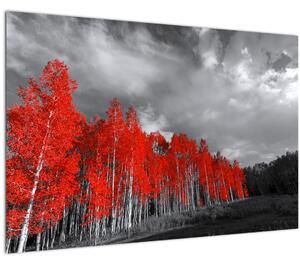 Tablou - Copaci în culorile toamnei (90x60 cm)