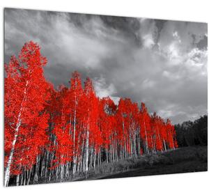 Tablou pe sticlă - Copaci în culorile toamnei (70x50 cm)