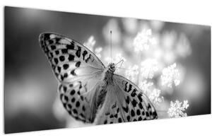 Tablou - Detailu cu fluture care polenizează floare (120x50 cm)