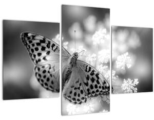 Tablou - Detailu cu fluture care polenizează floare (90x60 cm)