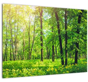 Tablou pe sticlă - Pădurea cu frunze de primăvară (70x50 cm)