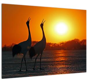 Tablou cu păsări în apus de soare (70x50 cm)