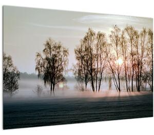 Tablou - Dimineața mohorâtă (90x60 cm)