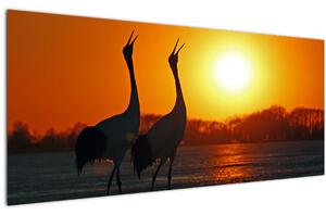 Tablou cu păsări în apus de soare (120x50 cm)