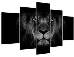 Tablou - Leu majestic (150x105 cm)