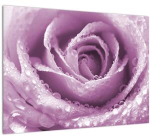 Tablou pe sticlă detaliu de floare de trandafir (70x50 cm)