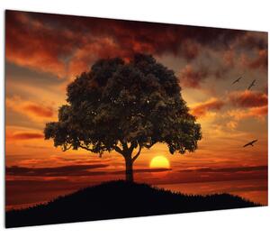Tablou cu pomi și apus de soare (90x60 cm)