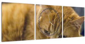 Tabloul pisicii (cu ceas) (90x30 cm)