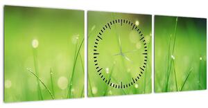 Tablou - roua pe iarbă (cu ceas) (90x30 cm)
