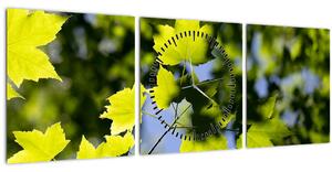 Tablou - frunze de arțar (cu ceas) (90x30 cm)