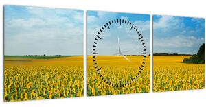 Tablou - câmp cu floarea soarelui (cu ceas) (90x30 cm)