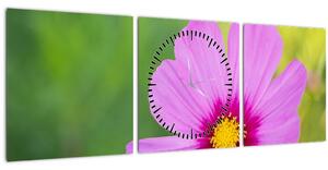Tablou - floare de câmp (cu ceas) (90x30 cm)