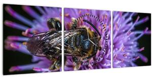 Tablou cu albina pe floare (cu ceas) (90x30 cm)