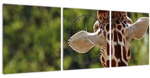 Tablou cu girafă din spate (cu ceas) (90x30 cm)
