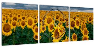 Tablou câmpului de floarea soarelui (cu ceas) (90x30 cm)