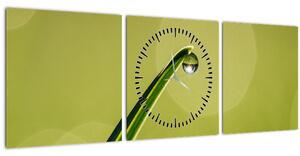 Tablou cu picătură de apă pe iarbă (cu ceas) (90x30 cm)